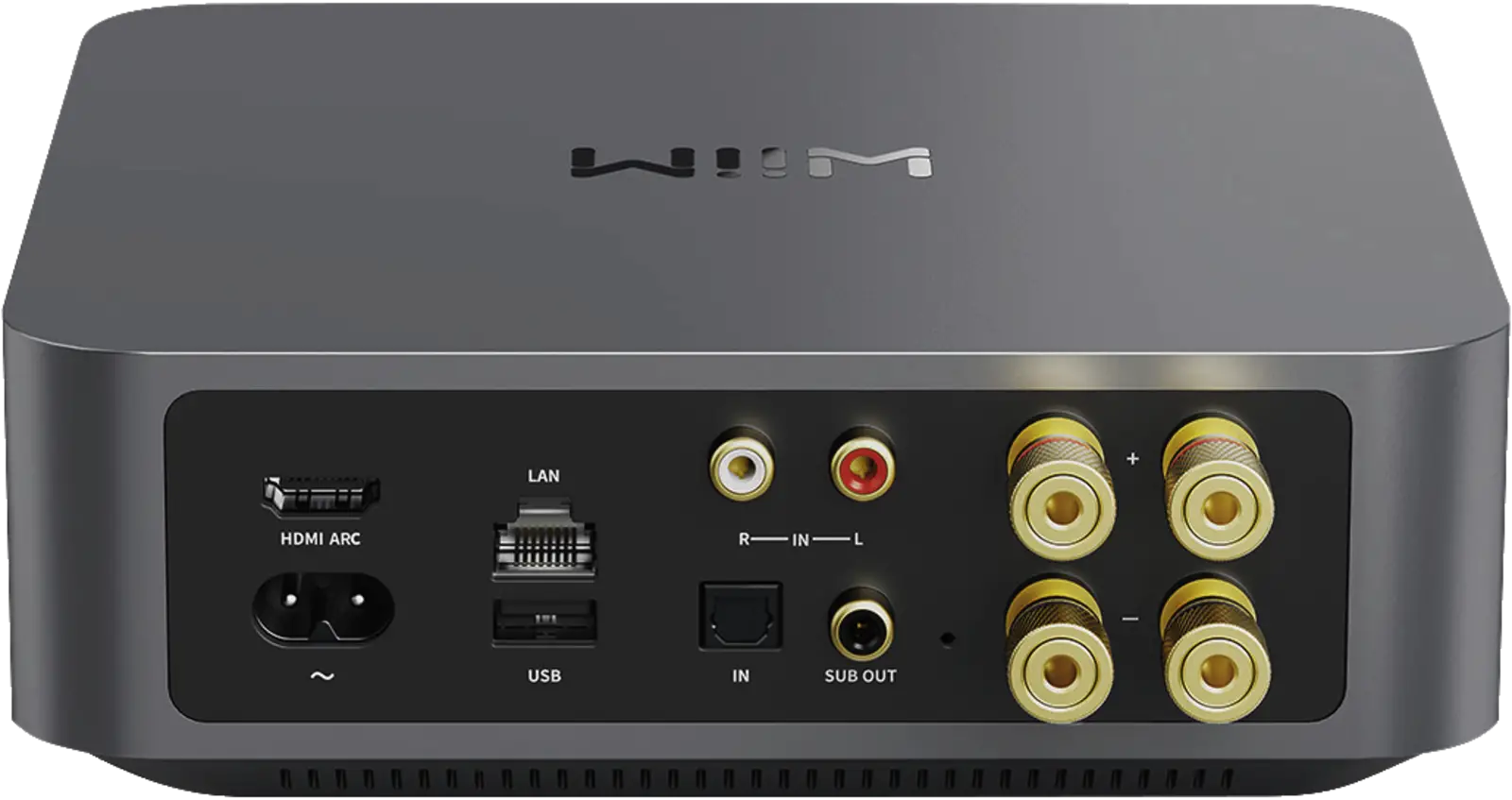 Amp von Hinten